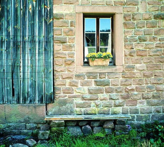 Hauswand aus Ziegelsteinen mit einem Fenster und einem Brettertor daneben